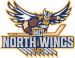 HC North Wings Ústí nad Labem