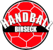 SG Handball Birseck