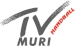 TV Muri Handball
