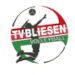 TV Bliesen Volleyball
