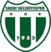 Saray Belediyesi