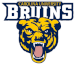 Carolina Bruins