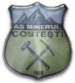 ACS Minerul Costesti