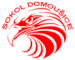 TJ Sokol Domousice