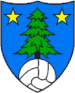 FC Saint-Léonard
