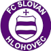 Voetbal - FC Slovan Hlohovec