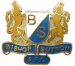 Bishop Sutton AFC